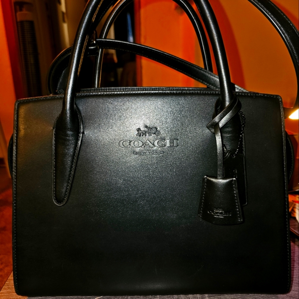 GORGEOUS Coach Large Andrea Carryall!